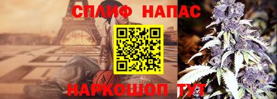 МДПВ Будённовск