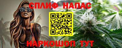 МДПВ Будённовск