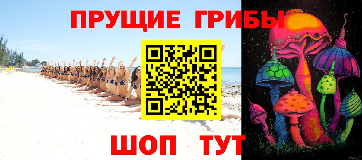 Соль-Илецк  Псилоцибиновые грибы мицелий  Вход с VPN 