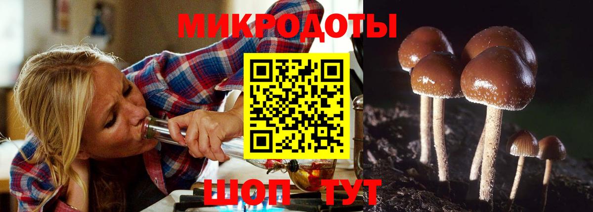 Галлюциногенные грибы прущие грибы Соль-Илецк